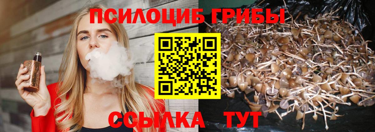 Казань  Псилоцибиновые грибы Cubensis  Галлюциногенные грибы MAGIC MUSHROOMS  Вход с VPN 